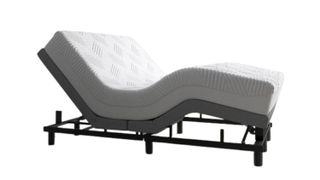 One of the best bed frames is the Sleepmotion 400i Adjustable Platform Bed Frame