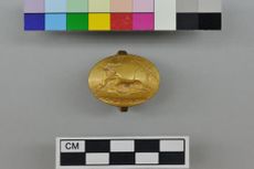 One the of the ancient warrior's gold rings.
