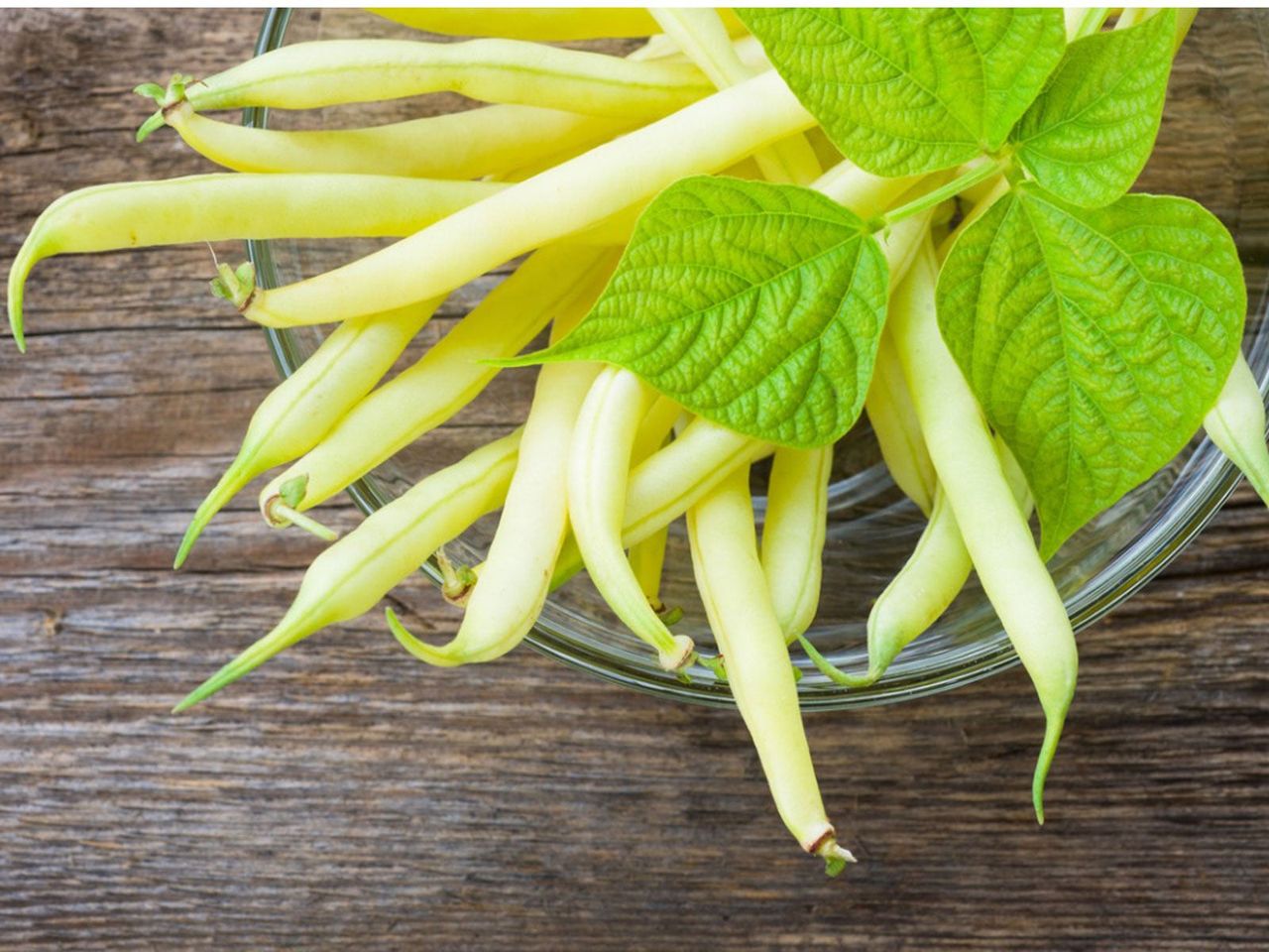 Bowl Full Of Yellow Wax Beans