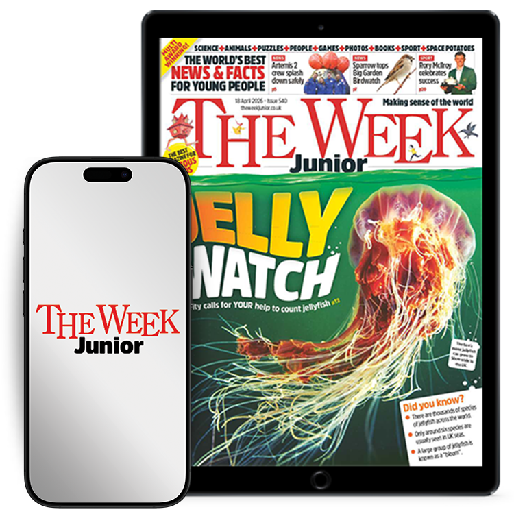 Digital packshot