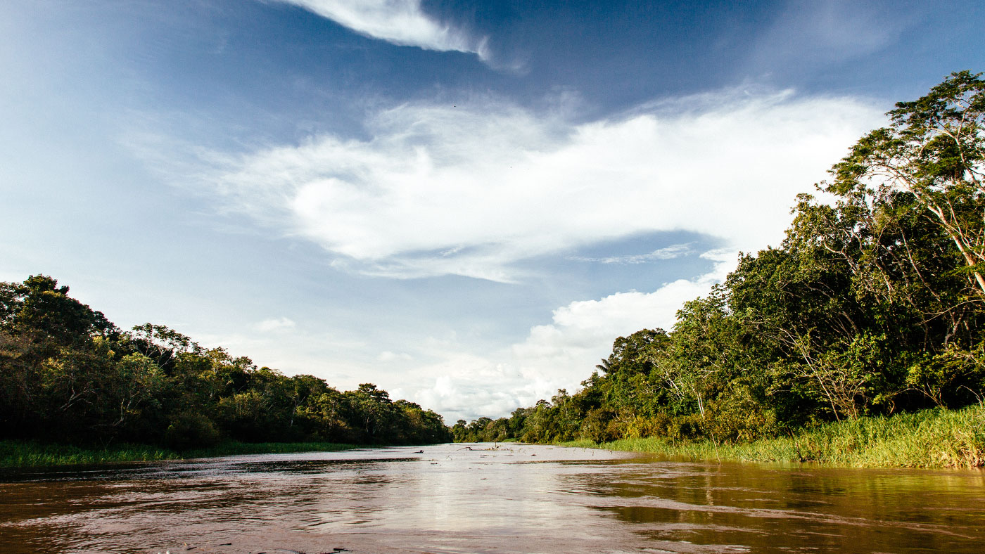 Aria Amazon, Peru cruises