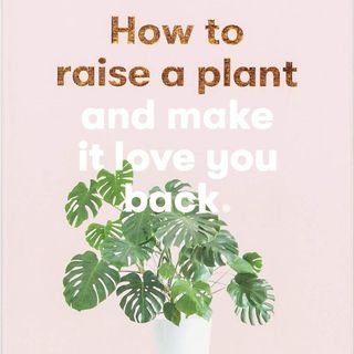 A light pink book cover with a plant on it and brown and white text that reads, 