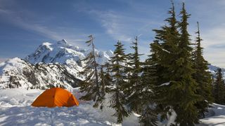 An orange tent camped in deep snow next to trees