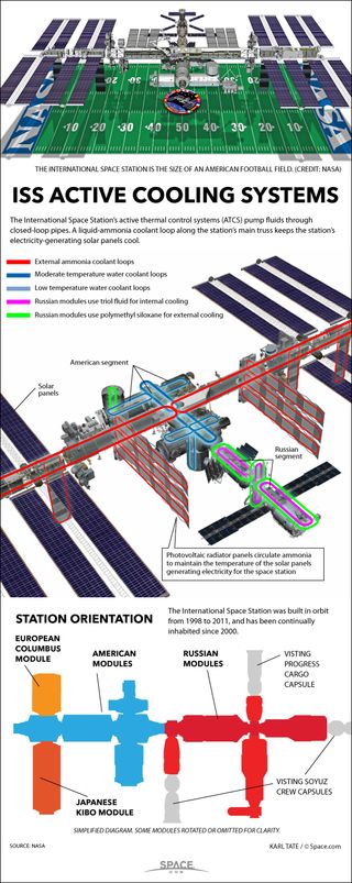 Infographic: How the ISS's Ammonia Cooling System Works