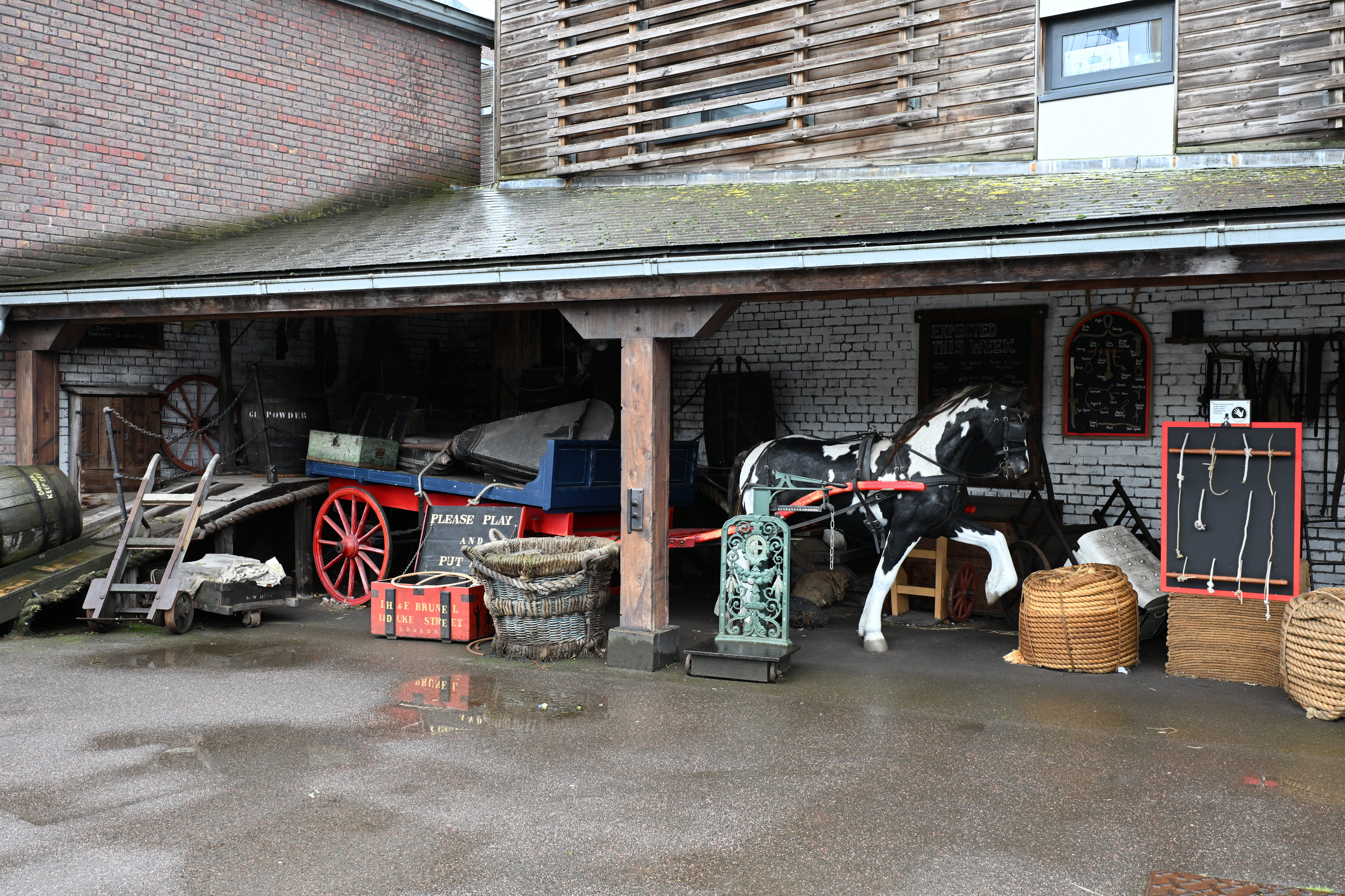 Meike 35mm f/1.8 Pro AF sample shot