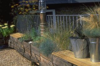ways to use ornamental grasses