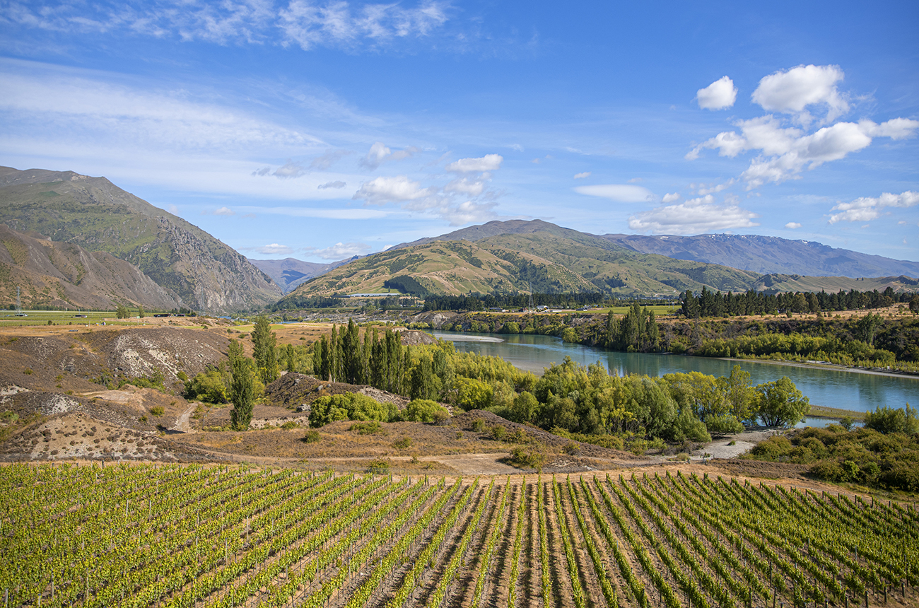 Te Kano Estate vineyard in Central Otago