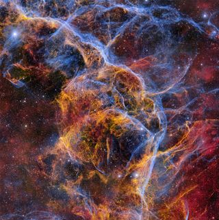 The Vela supernova remnant, which lies some 800 light-years away, is formed from the spilled guts of a massive star that exploded eleven millennia ago.
