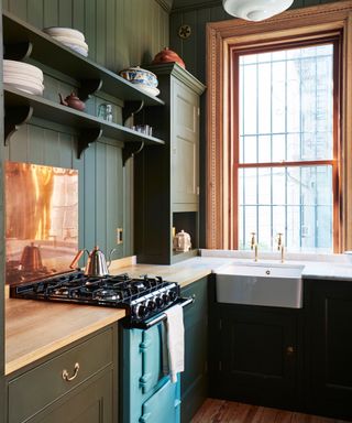 kitchen with dark green cabinets and walls and large window
