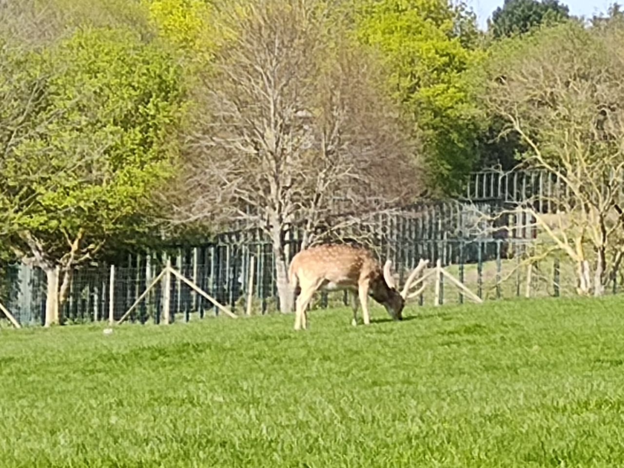 A photo taken on the Motorola Edge 40 Pro
