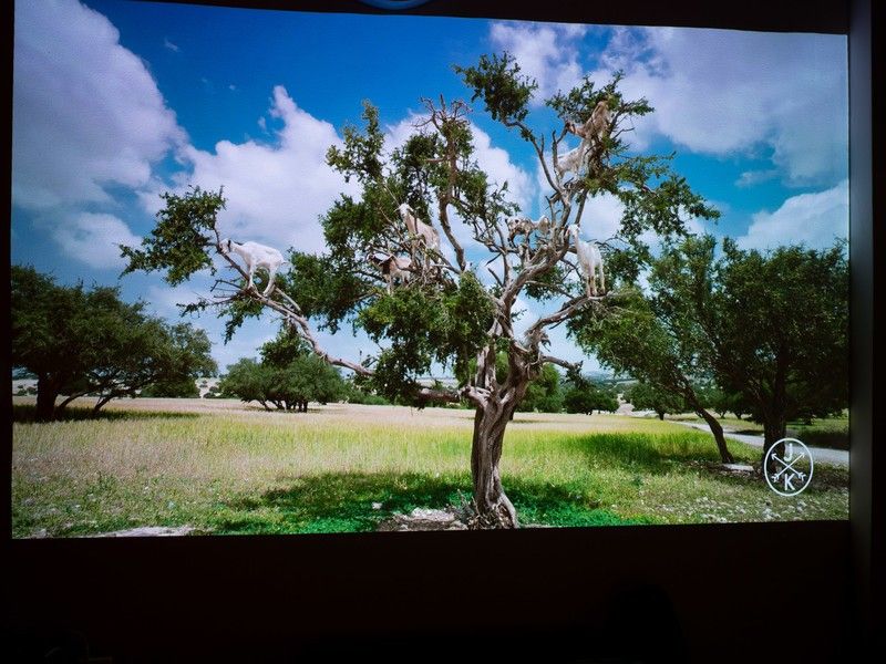 VAVA Chroma 4K projector review