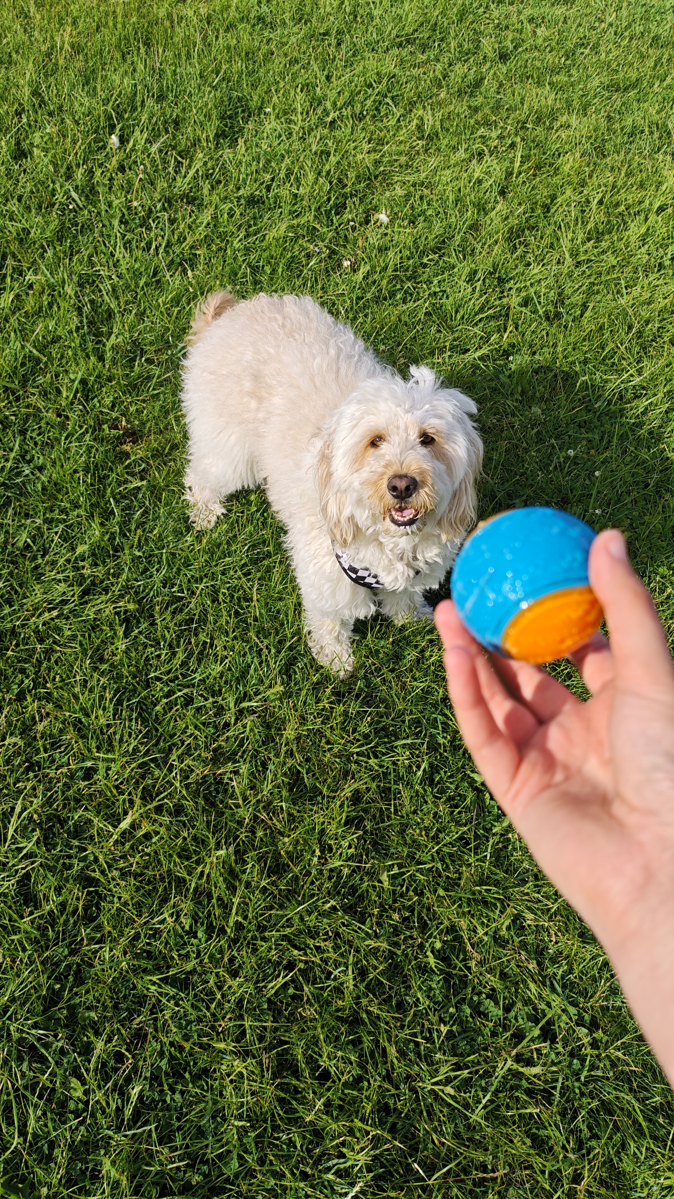 Poco F7 Ultra review sample images