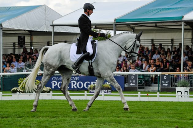 Alfies-Clover_Burghley_PN17_85099-e1504197072531.jpg