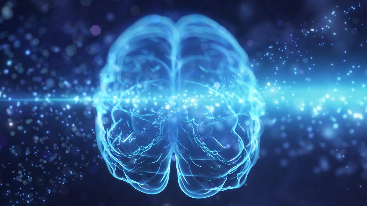 AI brain learning