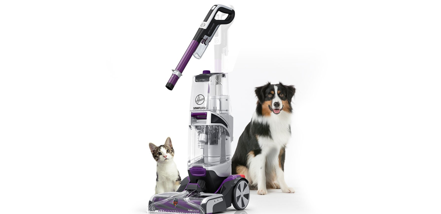 best carpet cleaner for pets