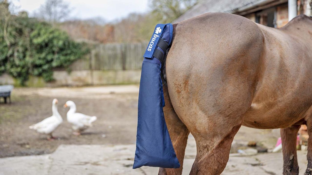 Bucas tail protector and bag review