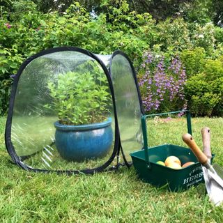 Mini Pop Up Poly Greenhouse Plant Cover 