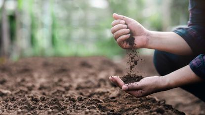 Hands checking the quality of soil in a garden