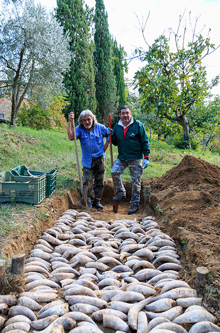 la vialla, biodynamic