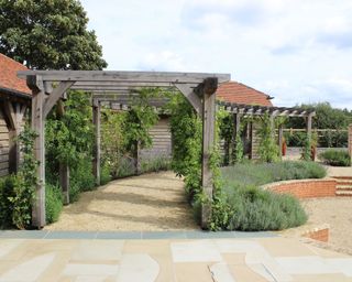 pergola in a country garden along edge of circular patio space designed by Bowles & Wyer