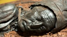 Tollund Man may have been a victim of human sacrifice between 405 B.C. and 380 B.C.