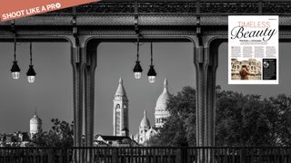 Monochrome image of a cityscape with ornate lamps and intricate ironwork, featuring distant historic towers