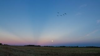 Harvest Moonrise over farm