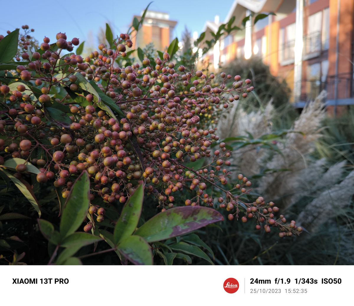 A photo taken on the Xiaomi 13T Pro