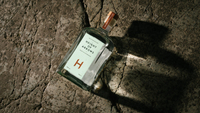 Height Of Arrows Gin