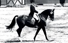 QUIZ-JENNIE-LORISTON-CLARKE2.jpg