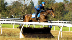 051618_Jumping-Racehorses_BDV1_19200-e1533292550984.png