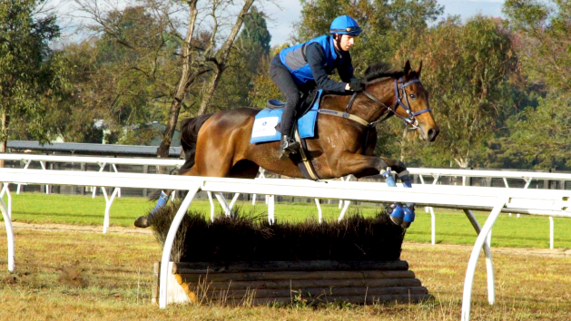 051618_Jumping-Racehorses_BDV1_19200-e1533292550984.png