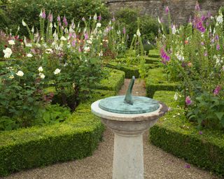 Ornamental sundial with foxgloves and roses in the parterre within the walled garden