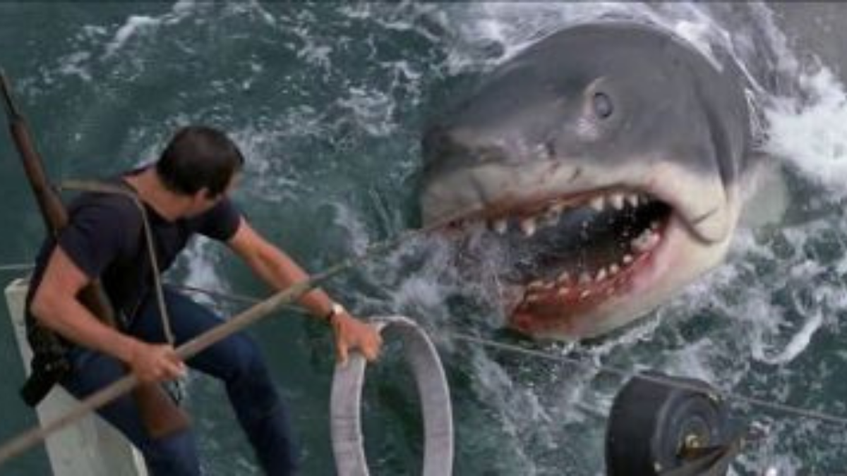 Jaws And One Flew Over The Cuckoo’s Nest Cinematographer Bill Butler Is ...