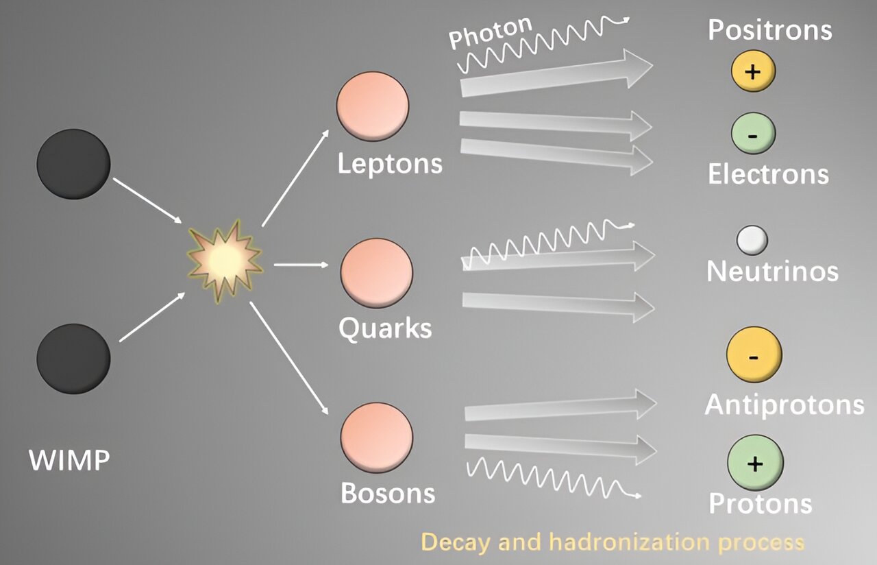 Un diagramme montrant des WIMPS se réunissant et se séparant pour former d'autres particules, y compris des photons.
