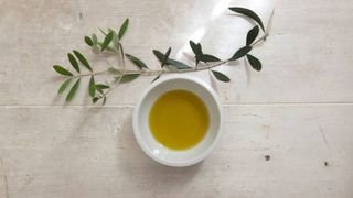 home remedies for fleas on cats: olive oil
