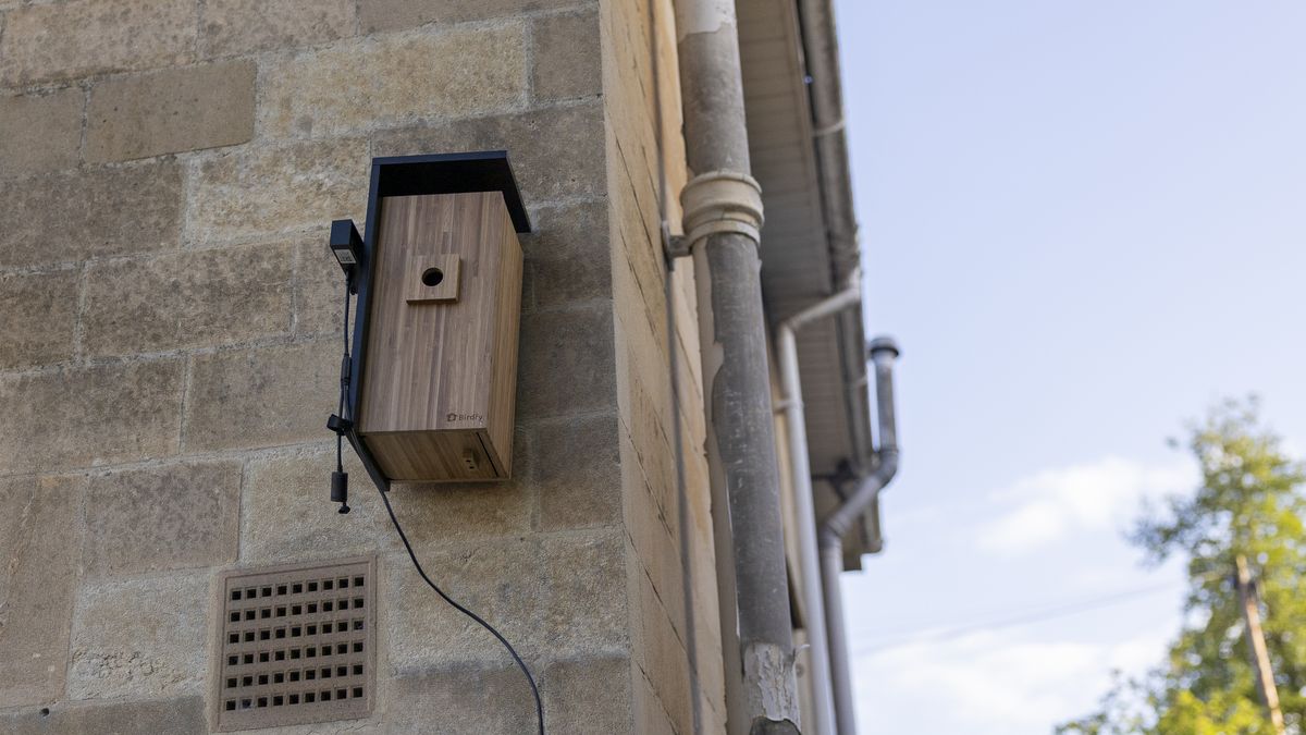 The Birdfy Nest Duo mounted on a Bath stone wall