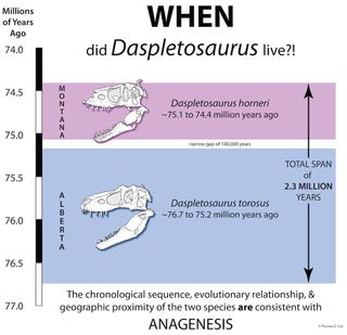 D. horneri lived from about 75.1 million to 74.4 million years ago, after D. torosus, which lived from about 76.7 million to 75.2 million years ago.