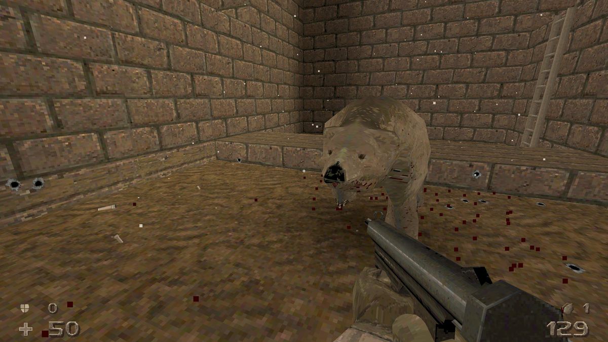 fighting bear in Hrot