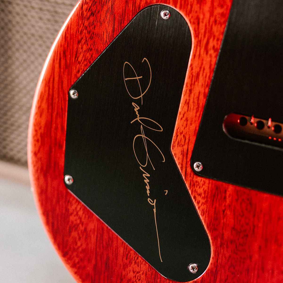 DGT Semi-hollow guitar details