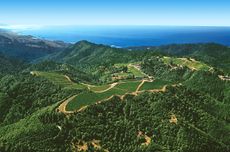 Healdsburg travel guide