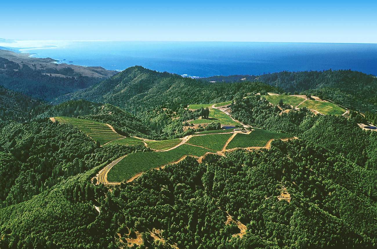 Healdsburg travel guide