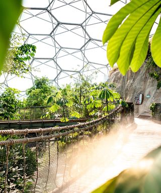most Instagrammable greenhouses
