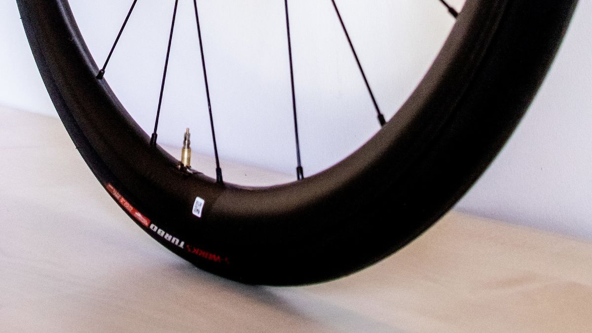 Julian Alaphilippe's Specialized Tarmac SL7