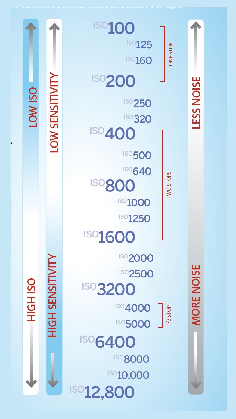 photography-cheat-sheet-what-is-iso-digital-camera-world