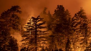 monrovia, ca september 11 the bobcat fire burns through the angeles national forest on september 11, 2020 north of monrovia, california california wildfires that have already incinerated a record 23 million acres this year and are expected to continue till december the bobcat fire has grown to more than 26,000 acres photo by david mcnewgetty images