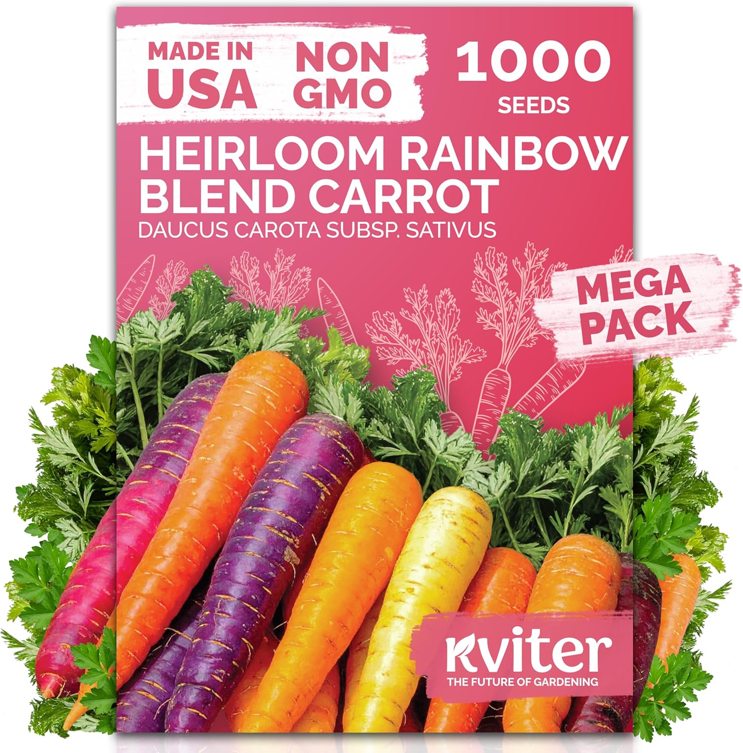 Kviter 1,000 Rainbow Carrot Seeds (daucus Carota) - Baby Carrots Mix, Sweet &amp;amp; Tender Taste - Heirloom &amp;amp; Organic Carrots Seeds for Planting in Vegetable Garden, Raised Beds &amp;amp; Containers