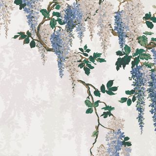 Woodchip and Magnolia wisteria wallpaper in cornflour blue