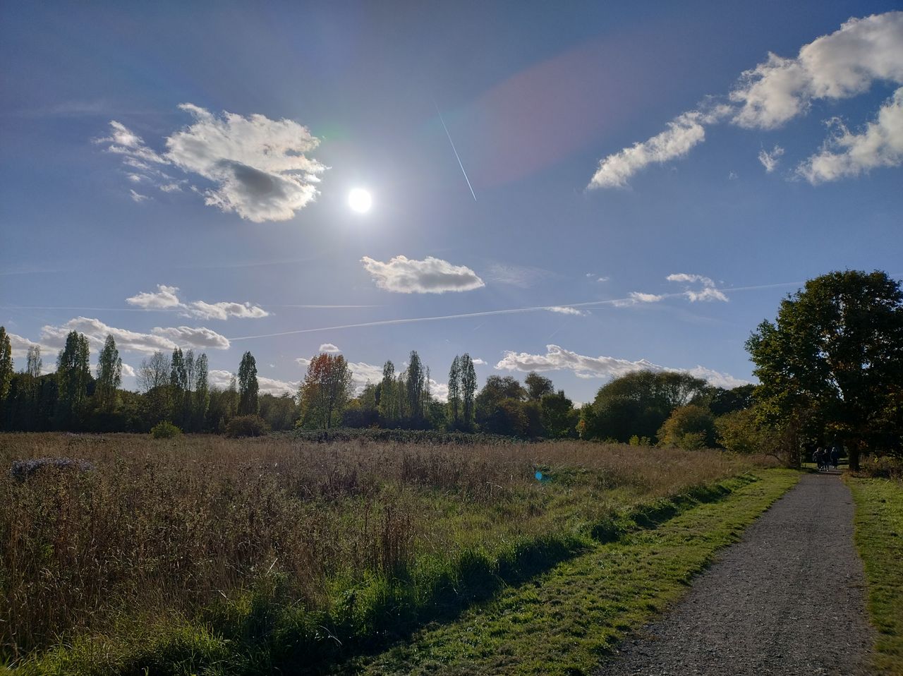 A Motorola Edge 30 Neo camera sample