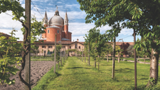 Redentore Gardens Venice 